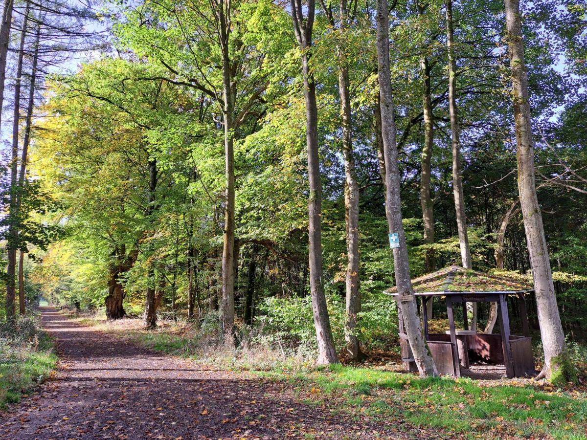 Steewer Landhaus Gemuetliche Ferienwohnung Bis 6 Pers In Ruhiger Ortsrandlage Stebach Extérieur photo