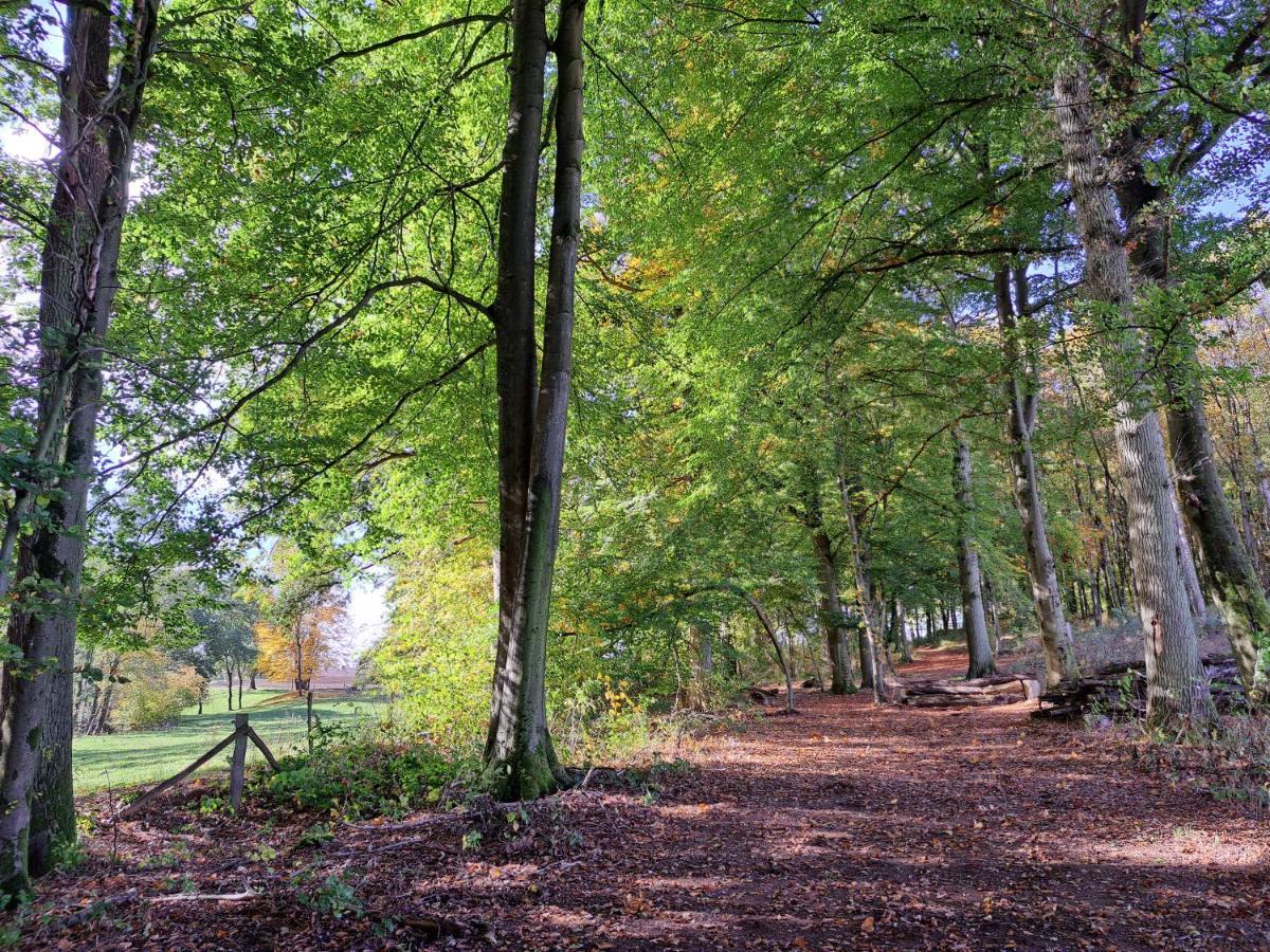 Steewer Landhaus Gemuetliche Ferienwohnung Bis 6 Pers In Ruhiger Ortsrandlage Stebach Extérieur photo